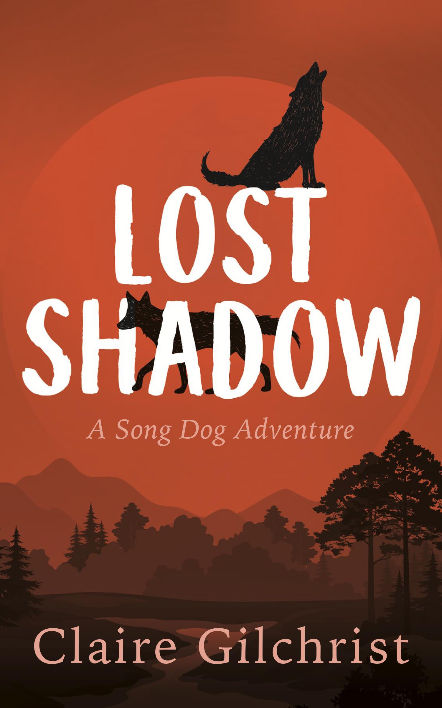 Lost Shadow - Dundurn