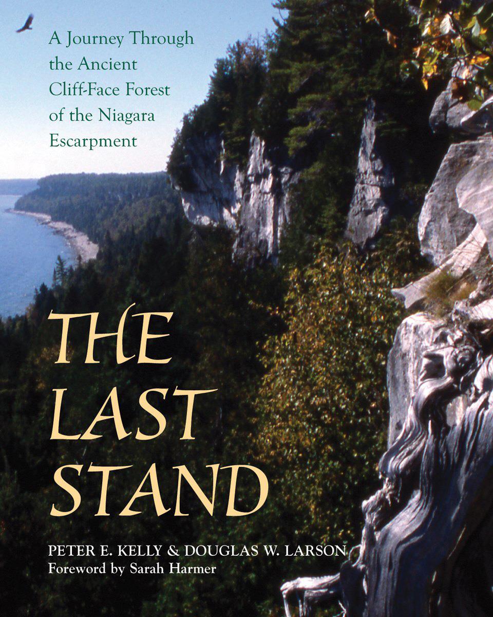 The Last Stand - Dundurn