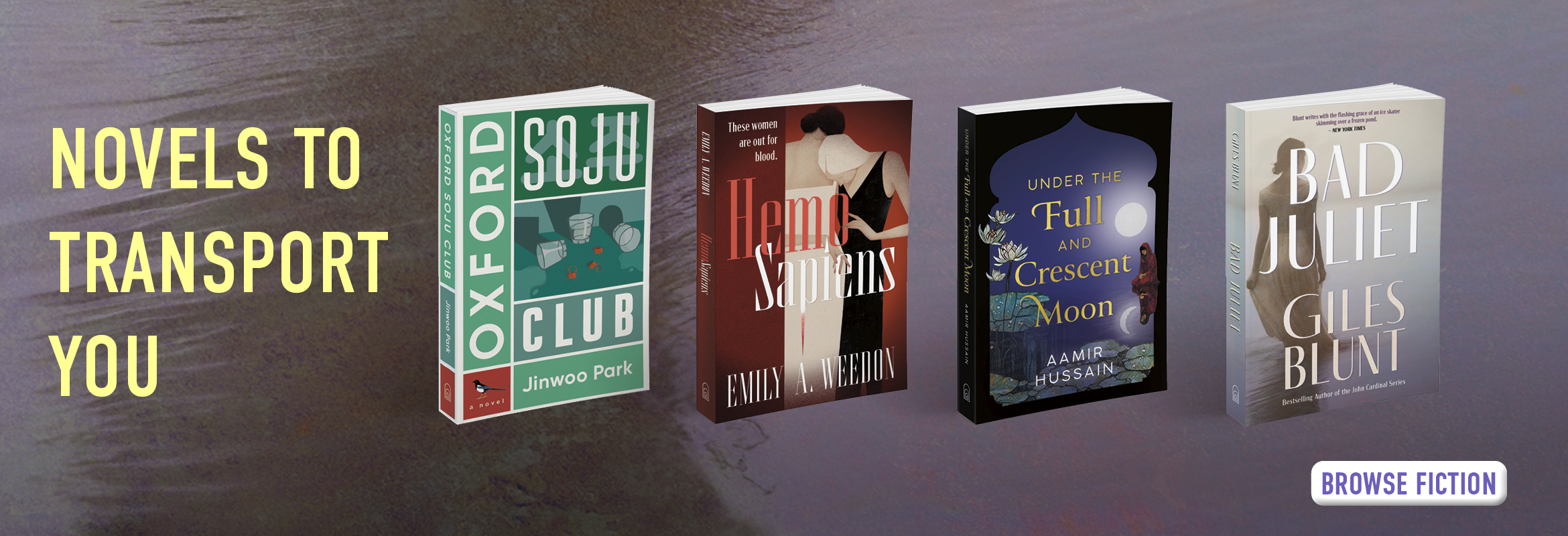 Novels to Transport You